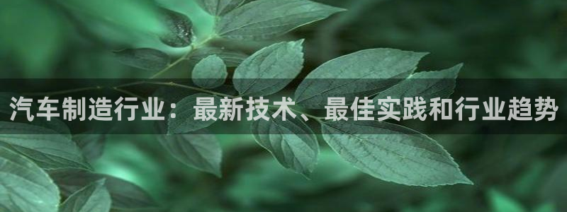 彩神8彩平台官网：汽车制造行业：最新技术、最佳实践和行业趋势