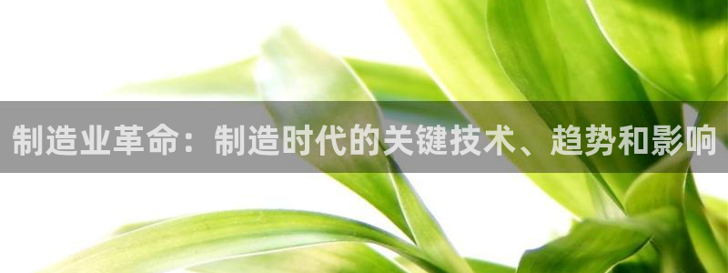 彩神赢的钱是哪里来的啊：制造业革命：制造时代的关键技术、趋势和影响