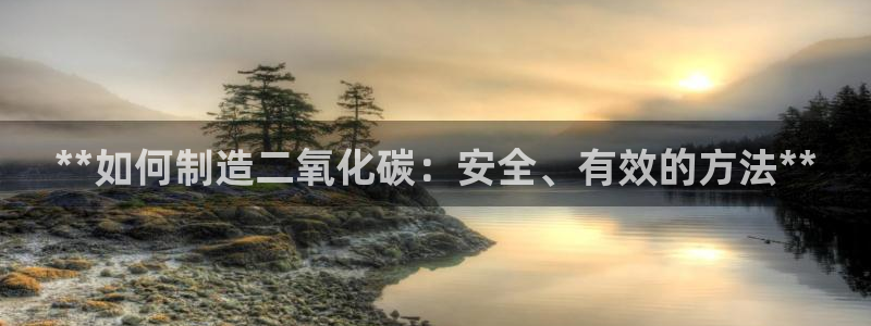 彩神官方网站登录是多少：**如何制造二氧化碳：安全、有效的方法**