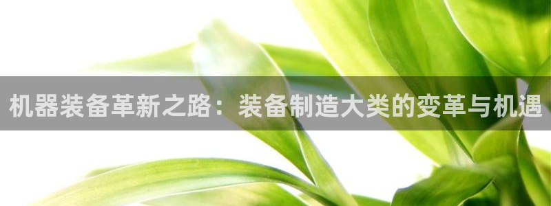 彩神8官网版是正规的吗：机器装备革新之路：装备制造大类的变革