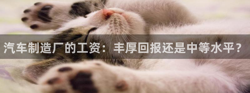 彩神ios下载