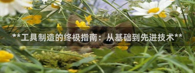 大发彩神争：**工具制造的终极指南：从基础到先进技术**