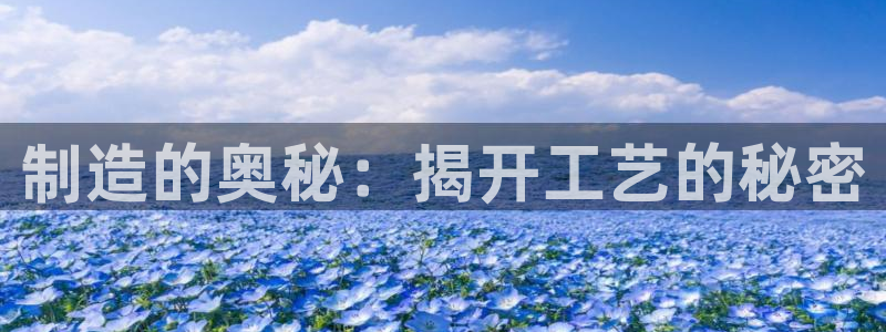 彩神团队是真的吗：制造的奥秘：揭开工艺的秘密
