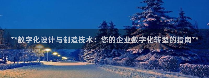 在彩神网输了六万多怎么拿回来：**数字化设计与制造技术：您的企业数字化转型的指南**