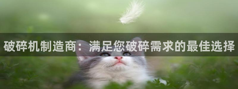 彩神赢的钱是哪里来的