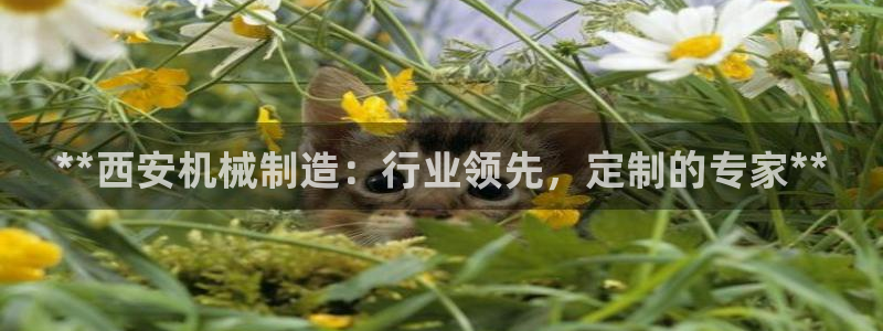 在彩神网输了六万多怎么拿回来