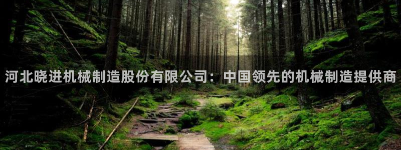 彩神8是正规平台吗是正品吗：河北晓进机械制造股份有限公司：中国领先的机械制造提供商