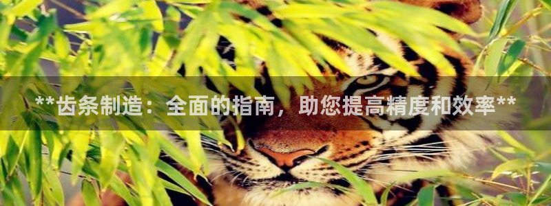 彩神v8下载app5.0