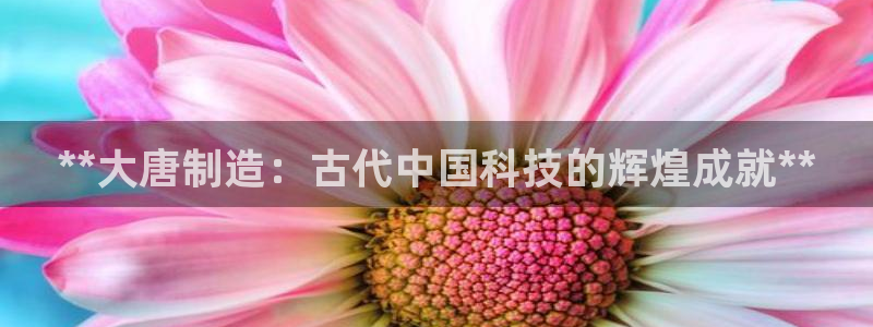 彩神系列平台