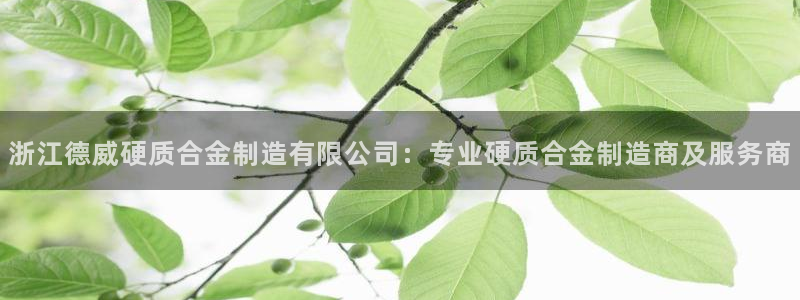 彩神vii购彩l心：浙江德威硬质合金制造有限公司：专业硬质合金制造商及服务商