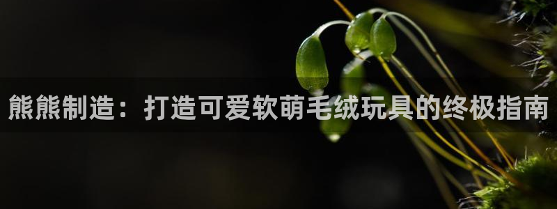 彩神8是正规平台吗知乎：熊熊制造：打造可爱软萌毛绒玩具的终极指南