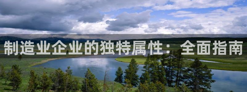 彩神怎么才能赢：制造业企业的独特属性：全面指南