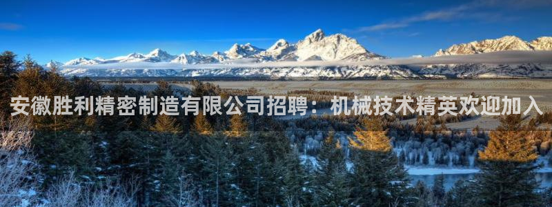 彩神vlll官网网上购彩：安徽胜利精密制造有限公司招聘：机械技术精英欢迎加入