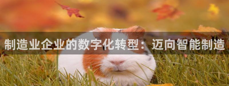 彩神大发三期计划网站：制造业企业的数字化转型：迈向智能制造