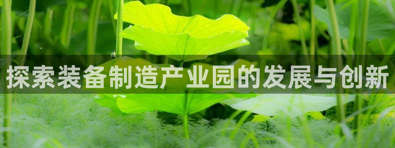 彩神vⅲ下载安装：探索装备制造产业园的发展与创新