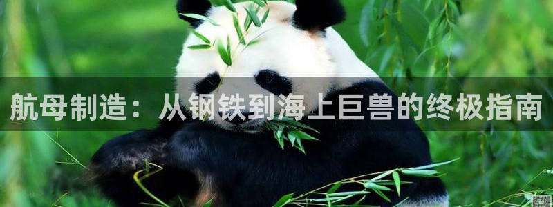 彩神ix能赚钱吗：航母制造：从钢铁到海上巨兽的终极指南