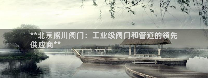 彩神v8手机客户端怎么下载：**北京熊川阀门：工业级阀门和管道的领先
供应商**