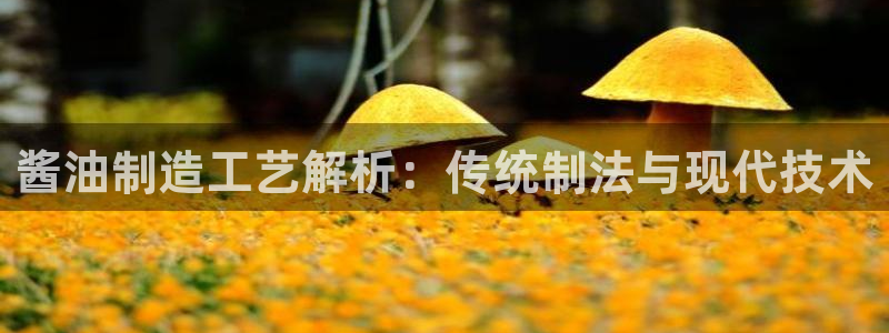 彩神vii手游下载：酱油制造工艺解析：传统制法与现代技术