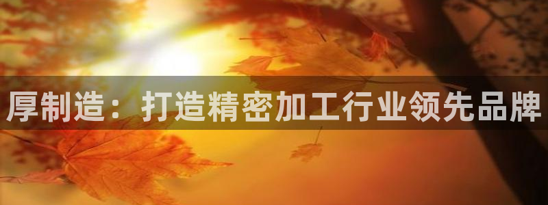 彩神怎么样可以提现：厚制造：打造精密加工行业领先品牌
