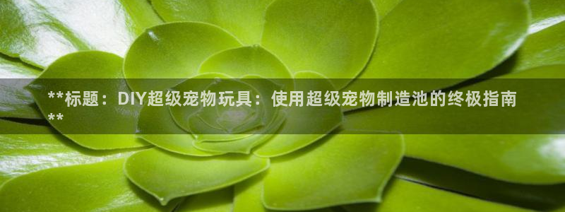 彩神vlll(中国)百度百科：**标题：DIY超级宠物玩具：使用超级宠物制造池的终极指南
**